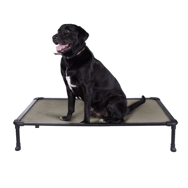 Pet frame with top heavy duty mesh